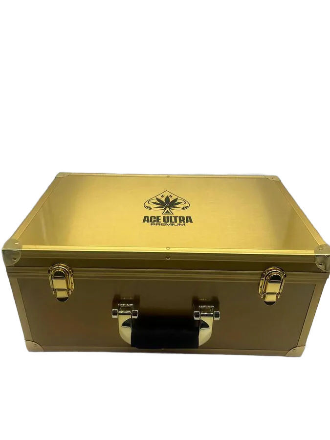 Ace Dual Gen Master Box 10pcs — Master Box presentation case holding 10 sealed Ace Ultra Premium 2g disposable vapes