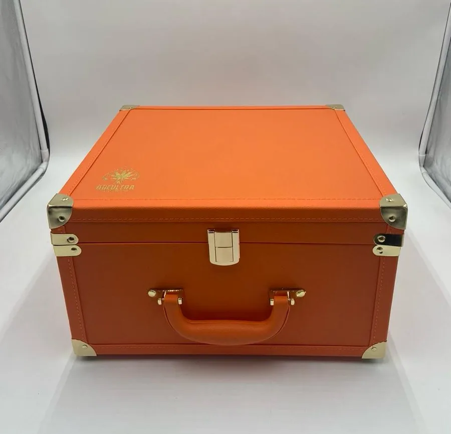 Ace Ultra Orange Edition 100pcs — Orange Edition presentation case holding 100 sealed Ace Ultra Premium 2g disposable vapes