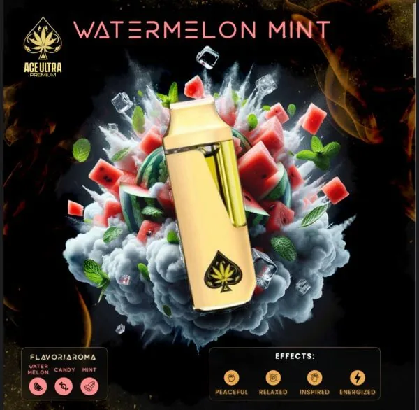Ace Ultra Watermelon Mint — gold Ace Ultra Premium 2g disposable vape device beside its black and gold case, Watermelon Mint flavour